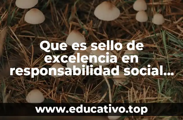 Que es sello de excelencia en responsabilidad social empresarial