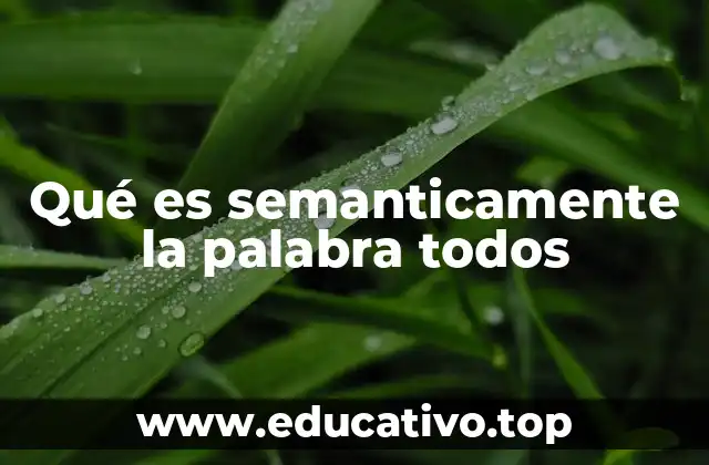 Qué es semanticamente la palabra todos