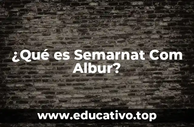 ¿Qué es Semarnat Com Albur?