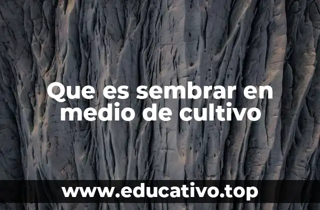 Que es sembrar en medio de cultivo
