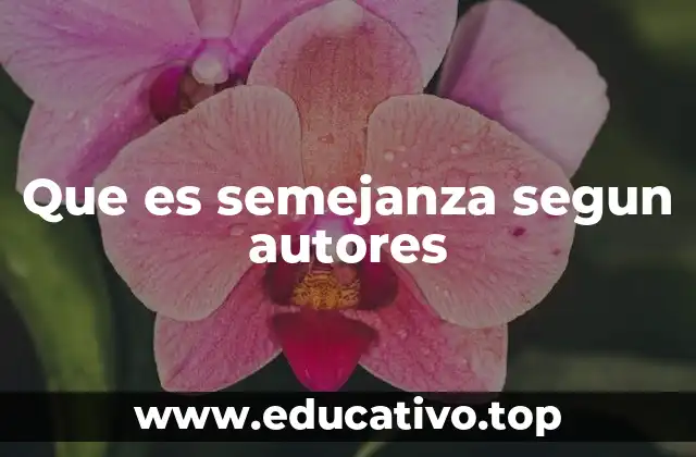 Que es semejanza segun autores