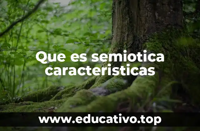 Que es semiotica caracteristicas