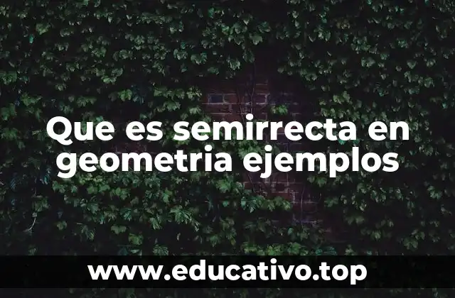 Que es semirrecta en geometria ejemplos