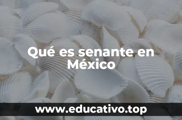 Qué es senante en México