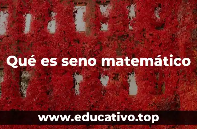 Qué es seno matemático