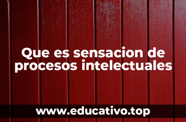 Que es sensacion de procesos intelectuales