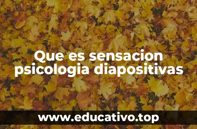 Que es sensacion psicologia diapositivas