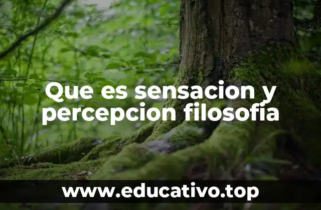 Que es sensacion y percepcion filosofia