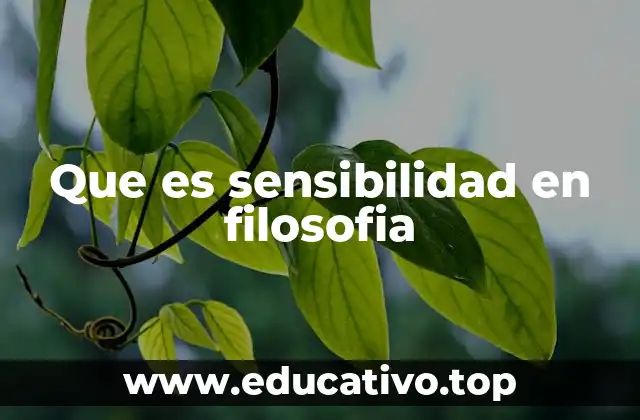 Que es sensibilidad en filosofia