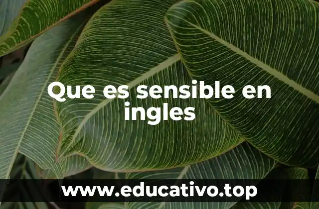 Que es sensible en ingles