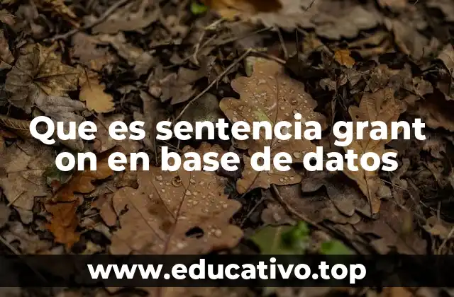 Que es sentencia grant on en base de datos