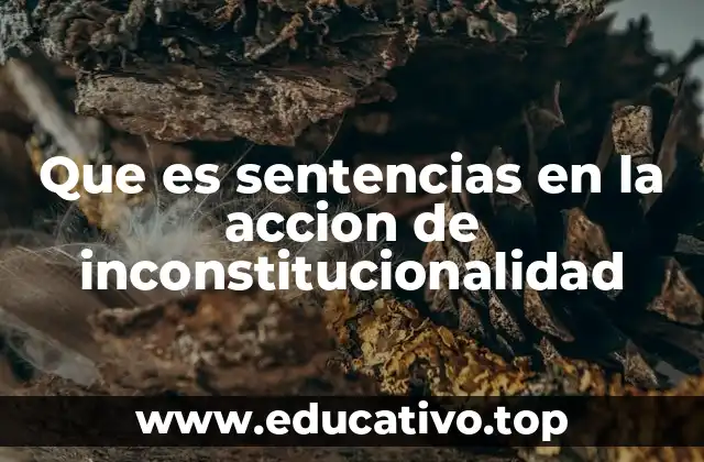 Que es sentencias en la accion de inconstitucionalidad