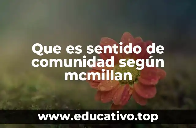 Que es sentido de comunidad según mcmillan