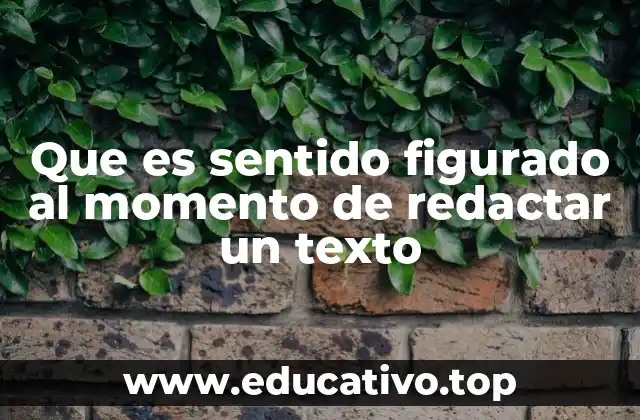 Que es sentido figurado al momento de redactar un texto