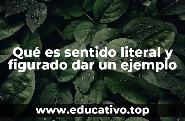 Diferencia entre el uso directo e indirecto de las palabras