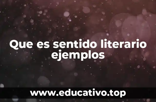 Que es sentido literario ejemplos
