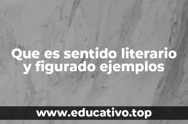 Que es sentido literario y figurado ejemplos