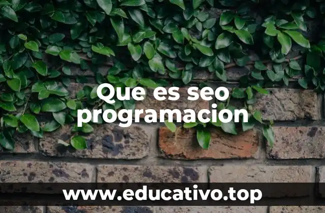 Que es seo programacion