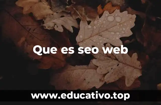 Que es seo web