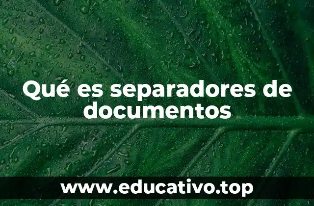 Qué es separadores de documentos