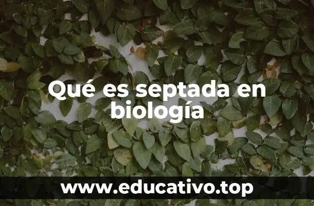 Qué es septada en biología