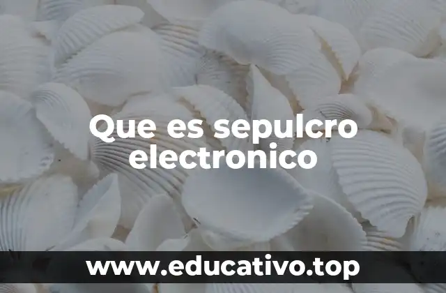 Que es sepulcro electronico
