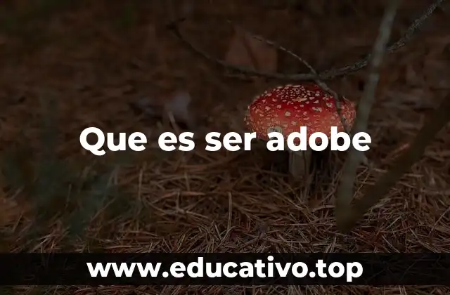 Que es ser adobe