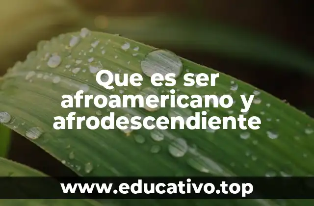 Que es ser afroamericano y afrodescendiente