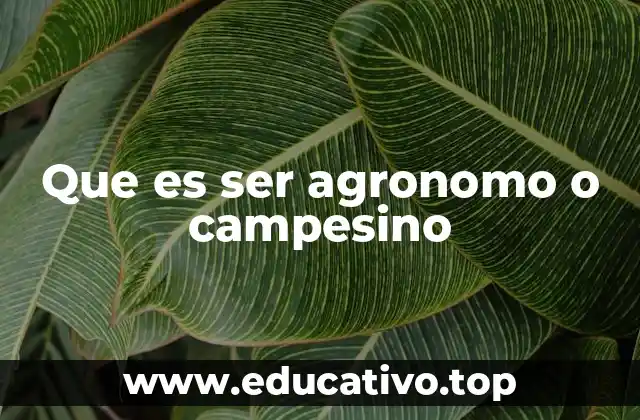 Que es ser agronomo o campesino