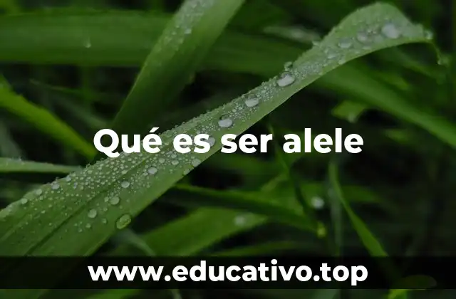 Qué es ser alele