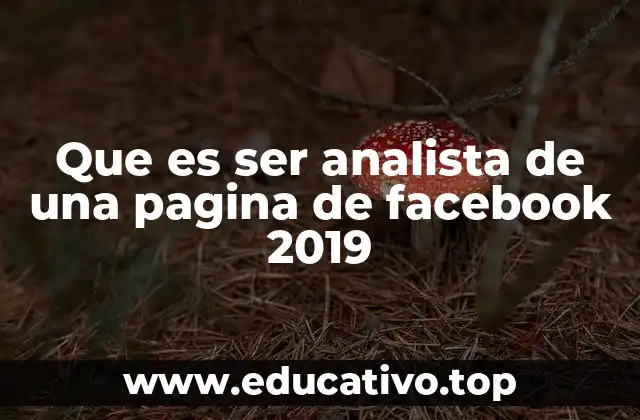 Que es ser analista de una pagina de facebook 2019
