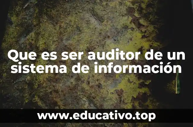 Que es ser auditor de un sistema de información