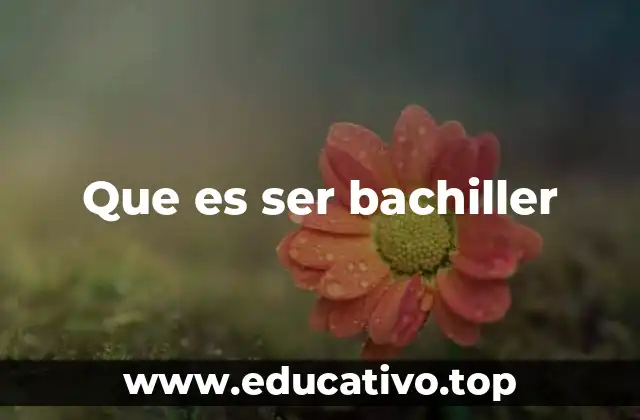 Que es ser bachiller