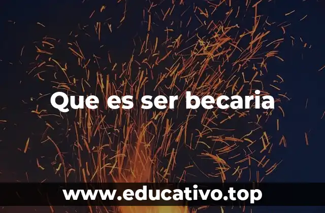 Que es ser becaria