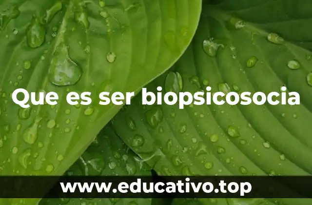 Que es ser biopsicosocia