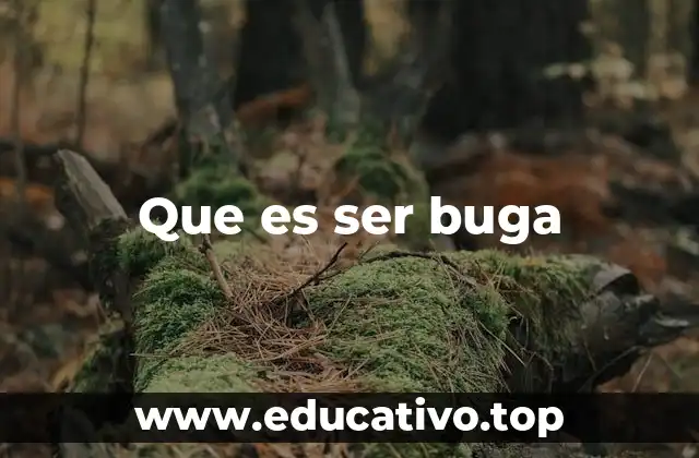 Que es ser buga