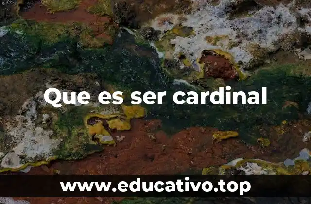 Que es ser cardinal