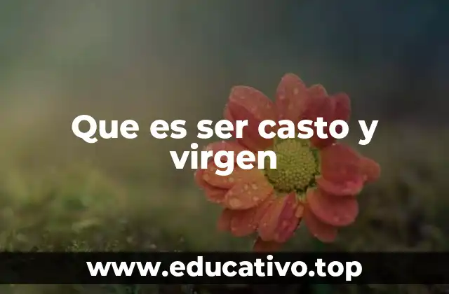 Que es ser casto y virgen