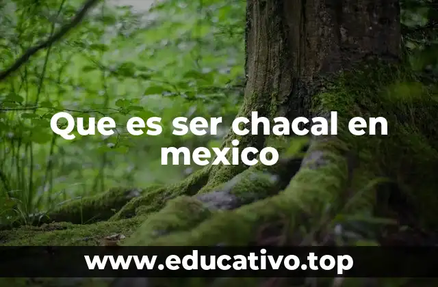 Que es ser chacal en mexico