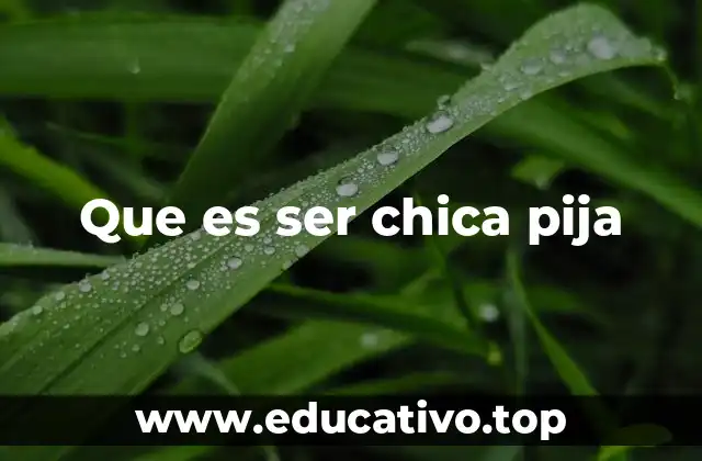 El fenómeno de la chica pija en la cultura juvenil