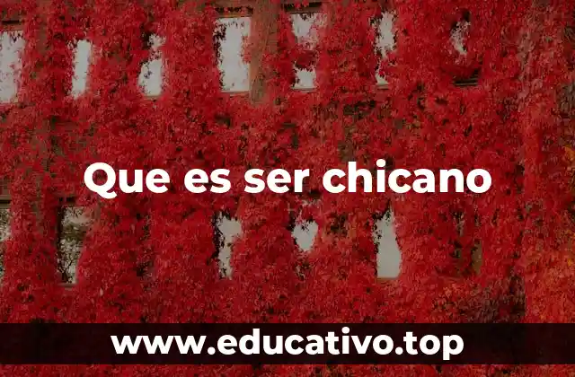 Que es ser chicano