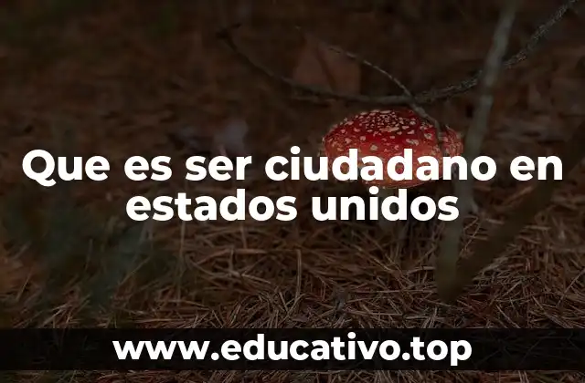 Que es ser ciudadano en estados unidos