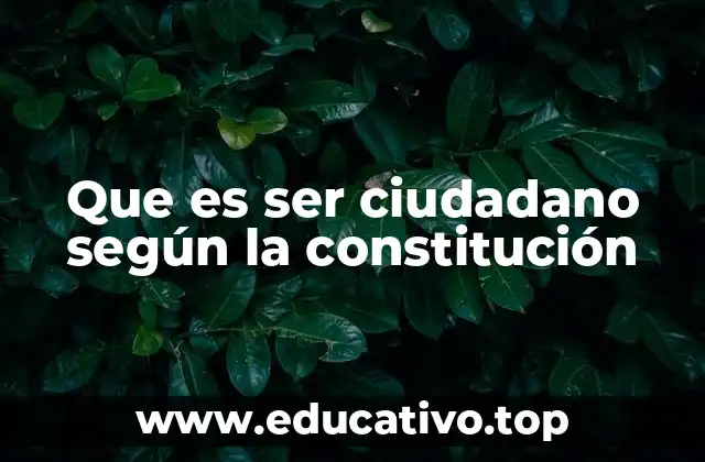 Que es ser ciudadano según la constitución