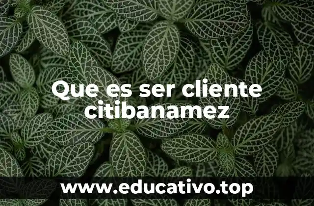 Que es ser cliente citibanamez