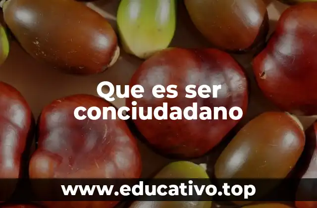 Que es ser conciudadano