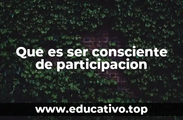 Que es ser consciente de participacion