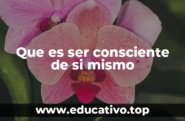 Que es ser consciente de si mismo
