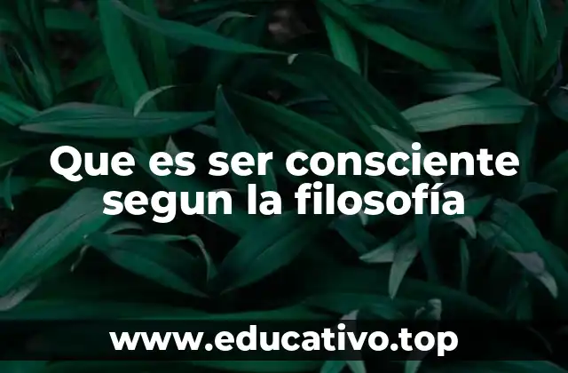 El origen de la conciencia en la filosofía