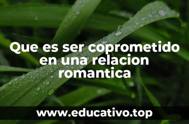 Que es ser coprometido en una relacion romantica