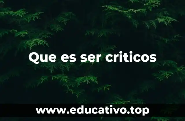 Que es ser criticos